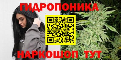 мдма Новозыбков