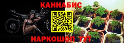 гидропоника Новокубанск