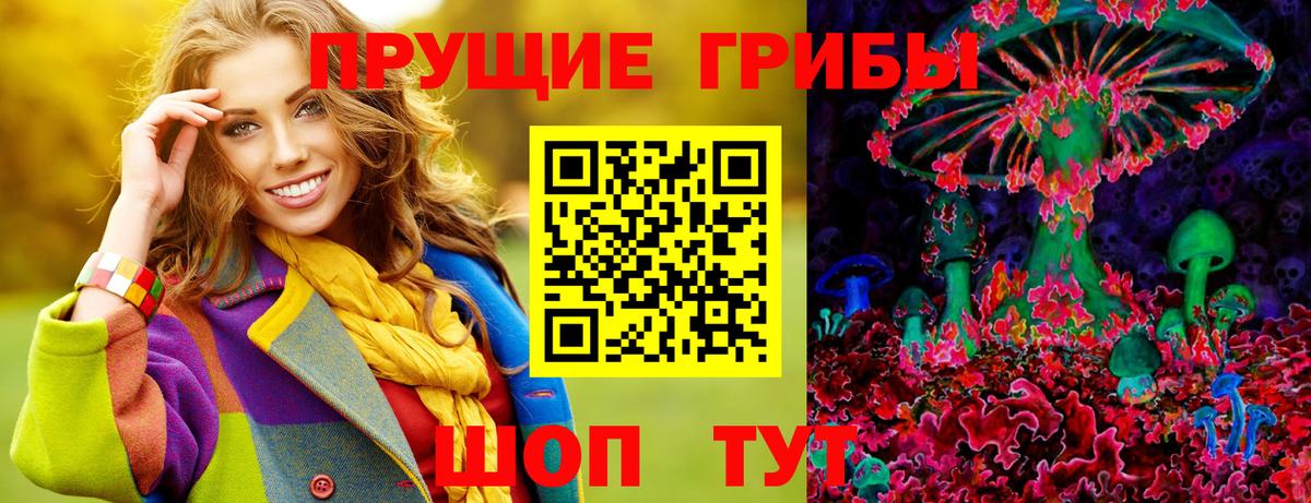 Сатка  Псилоцибиновые грибы Psilocybine cubensis  Вход с VPN 